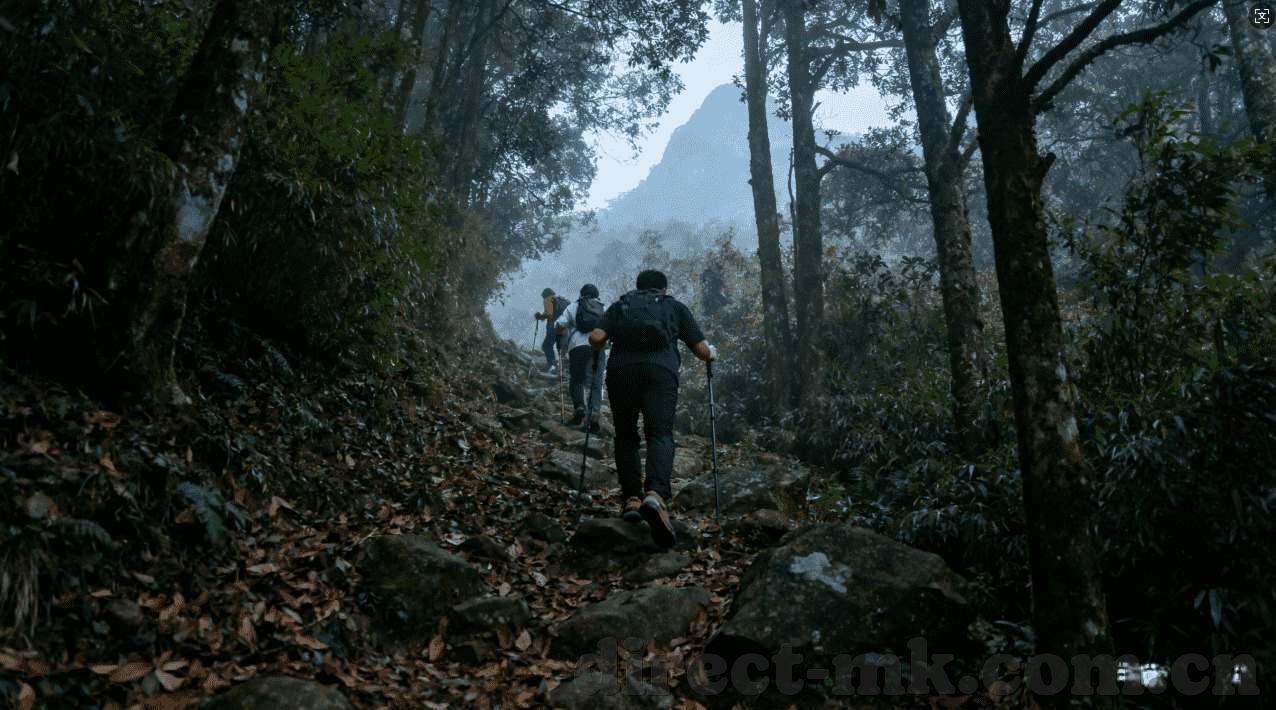 赌博百家乐-赌博百家乐，风险与机遇并存的娱乐方式